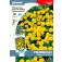 Gelbe_Studentenblume_Tagetes