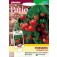 Tomaten_tumbling_tom_red